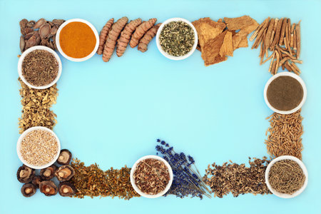 Nervine health food herbal plant medicine. Herbs and spice for stress relief to calm anxiety and support the nervous system. Healthy natural adaptogen alternative health care. Border frame on blue.の写真素材