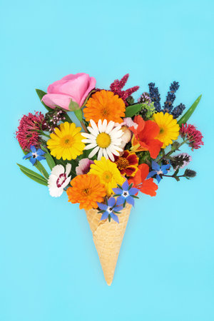 Surreal summer flower ice cream cone abstract art design. Flora also used in natural herbal plant medicine and food decoration. Floral nature crazy concept on pastel blue background. Flat lay.の写真素材