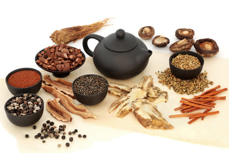 Chinese plant based herbal medicine with herb and spice collection for medicinal tea. Natural oriental healing health care concept. On white and parchment paper backgropund.の写真素材