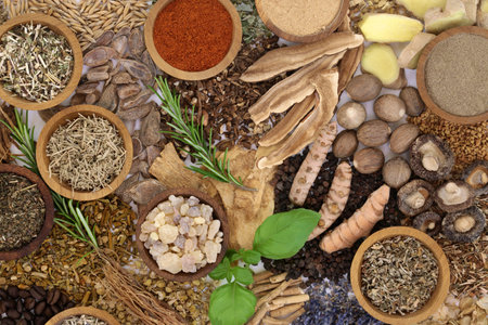 Nervine alternative medicine health food herbal plant medicine. Large collection of herbs and foods used to soothe anxiety and stress or to stimulate the nervous system.の写真素材