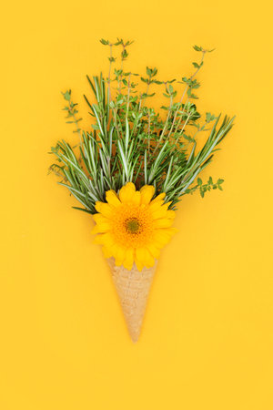 Surreal summer ice cream waffle cone with edible calendula flower and fresh herbs. Minimal abstract fun food concept on sunny yellow background.の写真素材