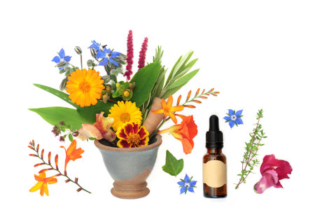 Healing flowers and herbs used in natural alternative herbal flower remedies in a mortar with essential oil bottle. Floral alternative health care concept on white background.の写真素材