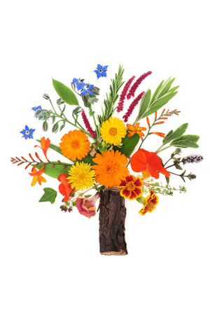 Surreal tree shape composition with summer flowers, wildflowers and herbs used in natural herbal plant medicine, abstract floral nature healing concept on white background.の写真素材