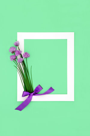 Chives herb edible flower blossom. Natural, organic food seasoning, local home grown produce. Used also in herbal medicine.  Minimal background border with purple bowl on green, white frame.の写真素材