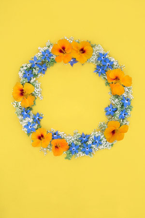 Summer wreath of healing flowers, herbs and wildflowers for natural alternative remedies. Treats cold and flu. Herbal plant medicine. Minimal design on yellow background.の写真素材