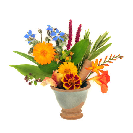 Summer flowers, wildflowers and herbs used in natural herbal plant medicine in a mortar with pestle. Floral nature alternative flower remedy healing concept on white background.の写真素材