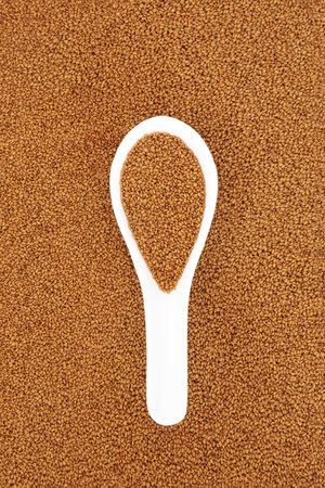 Camelina seed healthy nutritious health food in porcelain spoon on seeds background. Low cholesterol for cardiovascular benefits, vitamin E for skincare, is anti inflammatory. Top view copy space.の写真素材