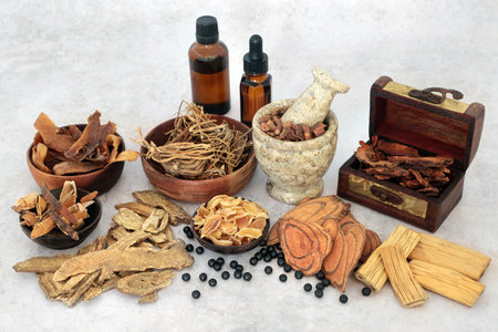 Herbs and spice for natural Chinese herbal plant medicine healing remedies with pills, zhi bai di huang to boost chi life force. Traditional alternative natural healthcare concept.の写真素材