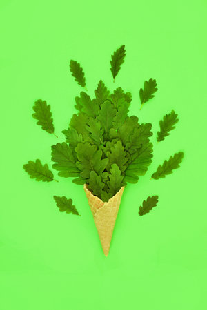 Surreal bizarre oak tree leaf ice cream waffle cone abstract concept with loose leaves. Summer eco and environmentally friendly fun design for brands and logos. On green background.の写真素材