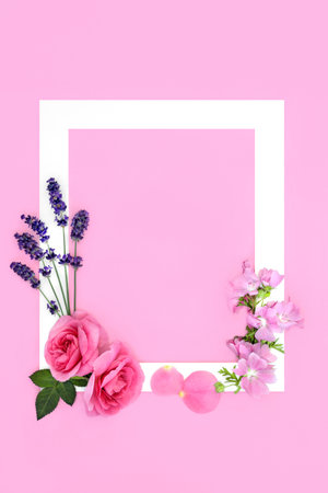 Summer flowers for natural skincare herbal plant medicine. Lavender rose and mallow wildflowers. Flower remedy to treat treats acne, psoriasis, eczema and skin irritation. Pink background, white frame.の写真素材