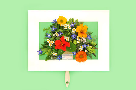Surreal paintbrush painting with summer flowers, herbs and edible wildflowers inside picture frame. Abstract minimal eco friendy nature health food design concept on green background. Flat lay.の写真素材