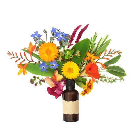 Abstract summer flower, wildflower and herb arrangement with aromatherapy essential oil bottle. Surreal natural herbal plant medicine floral nature lower remedy composition concept on white background.の写真素材