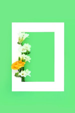 Memorial RIP background border. Rose freesia flower on white frame on green. Funeral invitation or order of service minimal composition. Condolence, mourning sorrow concept.の写真素材