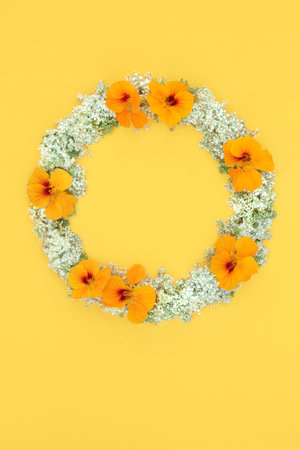 Summer elderflower and nasturtium flower wreath on yellow. Immune system boosting herbal plant medicine for cold flu remedy. Natural alternative healing composition.の写真素材