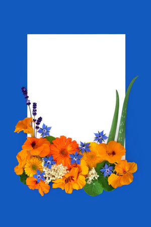 Herbs and flowers alternative herbal plant medicine ingredients for cold and flu remedies. Summer nature flower remedies abstract on blue, white copy space. Abstract background composition.の写真素材