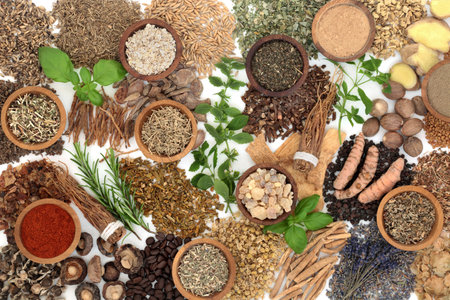 Natural nervine alternative health food. Herbal medicine collection to calm or stimulate the nervous system. Healthy natural adaptogen health care. On white background.の写真素材
