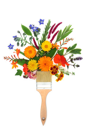 Surreal summer flowers and herb paintbrush splash composition. Natural flora used in herbal plant medicine and flower remedies, abstract naturopathic health care concept on white background.の写真素材
