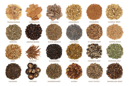 Nervine health food composition. Herbal plant medicine for relaxing or stimulating the nervous system. Healthy natural alternative healthcare. With descriptive titles. Isolated on white.の写真素材