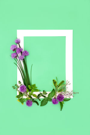 Homegrown summer herb seasoning organic healthy, natural fresh local produce for cooking. Minimal background border with white frame on green. Top view, flat lay, copy spaceの写真素材