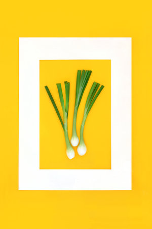 Spring onions healthy salad background border. Fresh food, high in vitamins, minerals, antioxidants, dietary fibre and can reduce cholesterol levels. On yellow background, white frame.の写真素材