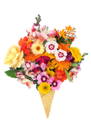 Surreal creative ice cream cone with colourful summer flowers. Flora also used in natural herbal plant medicine and flower remedies. Abstract nature concept on white background. Flat lay.の写真素材
