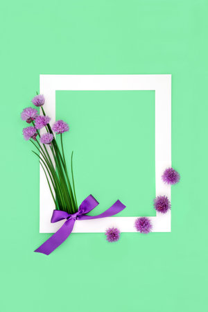 Edible chives herb flower minimal background border with purple bow. Natural, organic food seasoning, local home grown produce. Used also in herbal medicine. On green, white frame.の写真素材