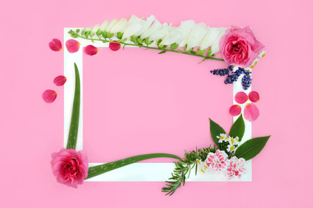 Flowers, herbs and wildflowers used in homeopathic and naturopathic herbal plant medicine and flower remedies. Summer nature floral composition on pink background with white frame.の写真素材