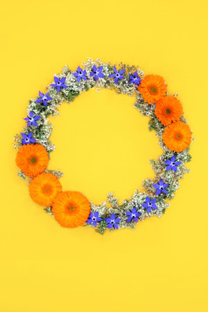 Natural summer flower and wildflower wreath of borage, calendula and elderflower. Herbal plant medicine for cold flu remedy, coughs and fevers. Minimal nature floral design composition on yellow.の写真素材