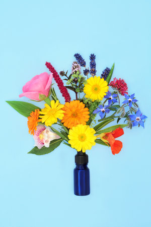 Surreal summer flowers and herbs composition used in aromatherapy essential oils for natural herbal plant medicine treatments. Abstract alternative floral nature concept on blue.の写真素材