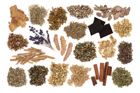 Healthy nervine food collection for calming the nervous system. Natural herbal plant medicine for alternative health care to relieve stress. On white background, flat lay.の写真素材