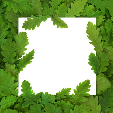 Green oak tree leaf abstract eco friendly design with leaves on white background. Ecological go green design for environmentally friendly composition. Top view, copy space.の写真素材