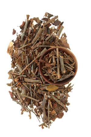 Mulberry mistletoe herb Chinese herbal plant medicine, lowers cholesterol, relieves stress, anxiety, is immune system boosting, treats arthritis. Sang ji sheng. On white.の写真素材