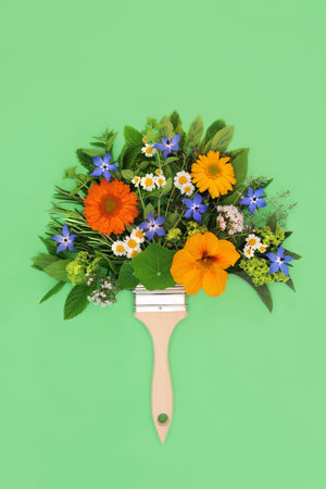Surreal summer herb leaf, flower and wild flower tree concept shape. Herbs and flowers used in herbal plant medicine, food seasoning and food decoration. Minimal eco friendly symbol on green.の写真素材