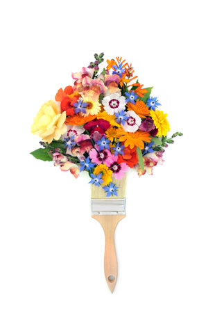 Surreal summer flower paintbrush splatter with wildflowers and herbs. Natural herbal plant medicine, abstract healing nature concept on white background.の写真素材