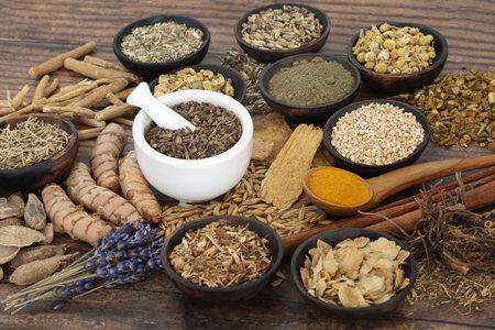 Nervine natural food collection. Herbal medicine for relaxing and nourishing the nervous system. Healthy natural adaptogen stress relieving alternative health care plant based medicine. On rustic wood.の写真素材