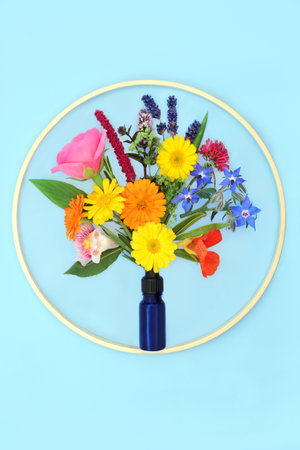 Surreal design of summer flowers and herbs used in naturopathic herbal plant medicine and aromatherapy essential oils. Natural healing floral nature concept on blue inside wooden round frame.の写真素材