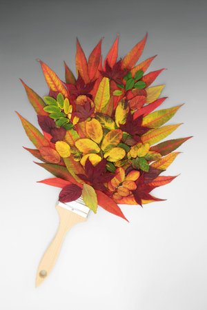Autumn and Thanksgiving surreal paintbrush splash composition with vivid red  leaves. Nature abstract for Fall with natural fauna. On gradient grey white background. Flat lay.の写真素材