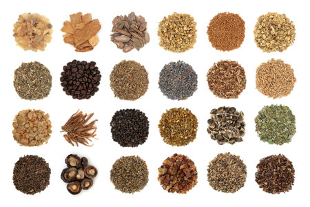 Large collection of nervine health food. Herbal plant medicine for relaxing or stimulating the nervous system. Healthy natural alternative health care. Isolated on white.の写真素材