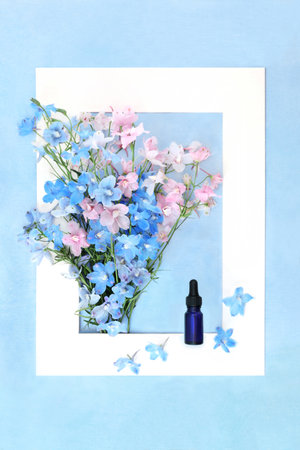 Delphinium wildflower homeopathic herbal medicine with tincture bottle. Summer flora nature flower remedy composition. Used as a sedative and for poor appetite. White frame on mottled blue.の写真素材