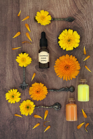 Calendula flowers for naturopathic healing skincare remedies. Natural floral preparation for cosmetic treatments for treating wounds, psoriasis, eczema,  acne and stimulating collagen.の写真素材
