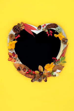Colourful heart shaped floral chalkboard frame for Autumn, Thanksgiving, harvest festival. Abstract nature concept with leaves, flowers, nuts. Fall composition with natural flora. On yellow.の写真素材