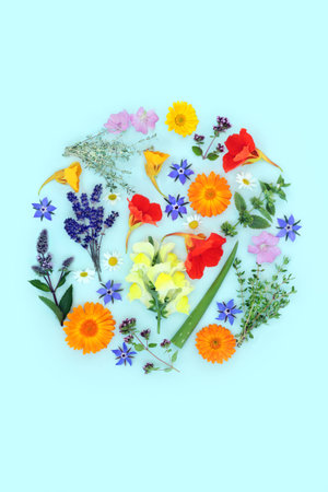 Herbs and flowers for alternative plant based skincare beauty treatment. Can ease psoriasis, eczema, acne and wounds. Natural floral healthcare circular design for logo on blue background.の写真素材