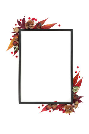 Autumn and Thanksgiving abstract floral leaf frame design with leaves, berry fruit, nuts. Minimal abstract nature Fall black border composition. On white background. Flat lay copy space.の写真素材