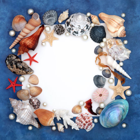 Seashell and pearl abstract background border on rustic mottled blue background. Natural nature design with large collection of shells with copy space.の写真素材