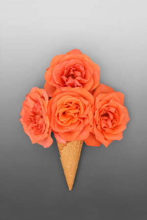 Surreal summer ice cream cone with orange rose flowers on gradient gray white background. Edible fun food nature bouquet design.の写真素材