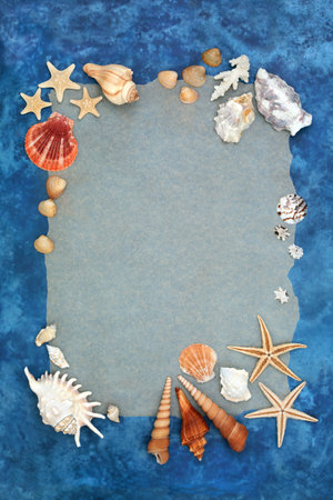 Seashell abstract background frame on mottled blue background. Natural beautiful nature design with collection of shells and rough torn paper.の写真素材