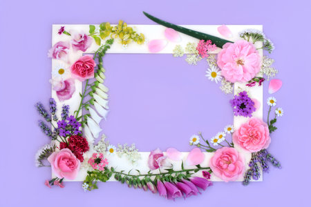 Medicinal summer flowers and wildflowers background frame with flora used in natural herbal...