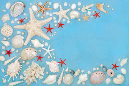 Seashells pearls and red starfish background border on mottled blue. Natural nature design with large collection of shells.の写真素材