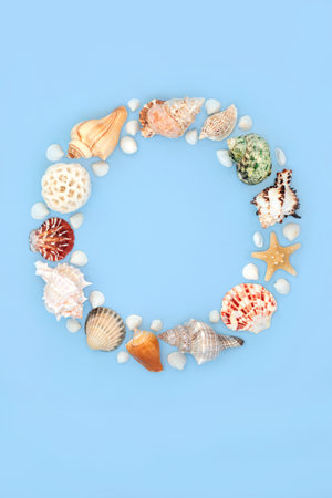 Seashell wreath natural seaside art. Decorative summer garland with collection of assorted shells on blue background.の写真素材