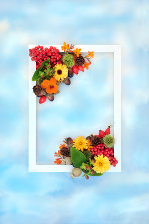 Autumn floral harvest festival fruit flower and nut background border with white frame on blue sky and cloud. Festive Thanksgiving fall seasonal nature concept for label, card, invitation.の写真素材